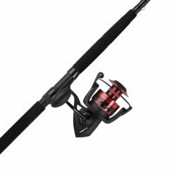 Penn Fierce III Spinning Combo