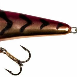 Lipless Crankbaits Salmo Chubby Darter