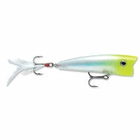 Rapala X-Rap Pop Top Water