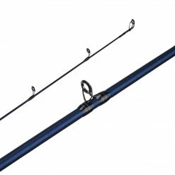 Fenwick Eagle® Casting Rod