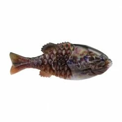 Berkley PowerBait® Gilly