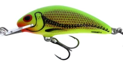Salmo Floating Hornet 4cm