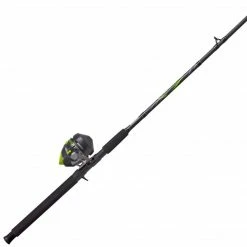 Baitcast Reels Zebco Big Cat Spincast Combo