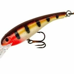 Wally Diver By Cotton Cordell Tackle