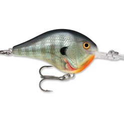 Rapala DT (Dives-To) CrankBait