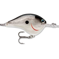 Rapala DT (Dives-To) CrankBait