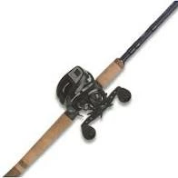 Abu Garcia® Max DLC And Fenwick® Eagle Trolling Combo