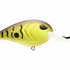 Tackle 13 Fishing Gordito Squarebill Crankbait
